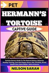 Pet hermann tortoise for sale  Delivered anywhere in USA 