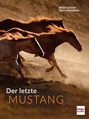 Letzte mustang gebraucht kaufen  Wird an jeden Ort in Deutschland