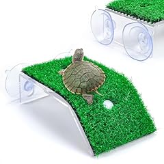 Keedolla small turtle for sale  Delivered anywhere in USA 