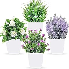 Der rose pack for sale  Delivered anywhere in USA 