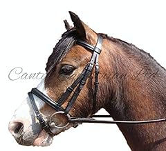 Canter leather flash for sale  Delivered anywhere in Ireland