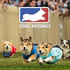Corgi nationals theme usato  Spedito ovunque in Italia 