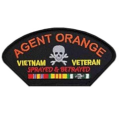 Vietnam veteran ribbons for sale  Delivered anywhere in USA 