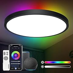 Antenlicht led deckenlampe gebraucht kaufen  Wird an jeden Ort in Deutschland
