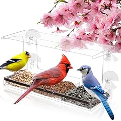 Clear window bird for sale  Delivered anywhere in USA 