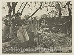 Historic pictoric photo for sale  Delivered anywhere in USA 