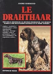 Drahthaar d'occasion  Livré partout en France