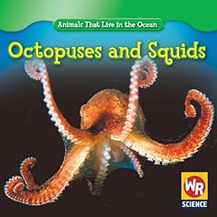 Octopuses squids for sale  Delivered anywhere in USA 
