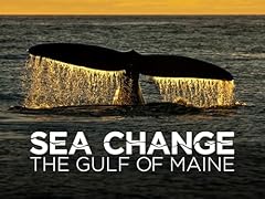 Sea change gulf for sale  Delivered anywhere in USA 