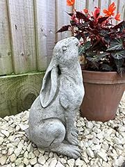 Rabbit gazing hare for sale  Delivered anywhere in Ireland