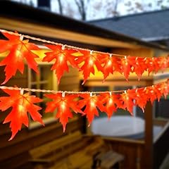 Bolweo herbst lichterkette gebraucht kaufen  Wird an jeden Ort in Deutschland