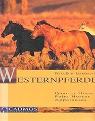 Westernpferde quarter horses gebraucht kaufen  Wird an jeden Ort in Deutschland