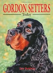 Gordon setters today for sale  Delivered anywhere in UK