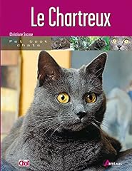 chaton chartreux d'occasion  Livré partout en France