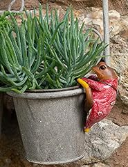 Jeremy fisher pot for sale  Delivered anywhere in USA 