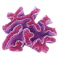 Ulifery coral reef for sale  Delivered anywhere in USA 