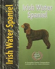 Irish water spaniel for sale  Delivered anywhere in UK