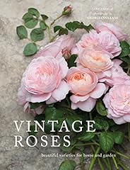 Vintage roses beautiful for sale  Delivered anywhere in USA 