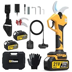 Secateur electrique profession d'occasion  Livré partout en France
