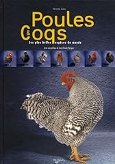 poules coq faience d'occasion  Livré partout en France