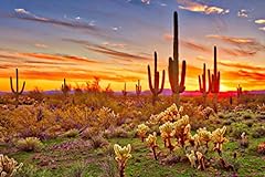 Colorful desert sunset for sale  Delivered anywhere in USA 