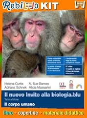 Nuovo invito alla usato  Spedito ovunque in Italia 