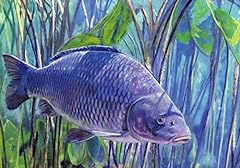 Carp fishing art for sale  Delivered anywhere in UK