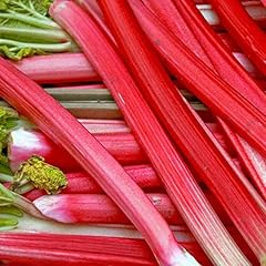 Rhubarb crowns timperley for sale  Delivered anywhere in UK