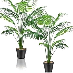 Cnwinu lot plantes d'occasion  Livré partout en Belgiqu