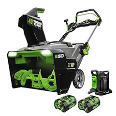 Ego power electric for sale  Delivered anywhere in USA 