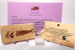 Rockhound first choice for sale  Delivered anywhere in USA 
