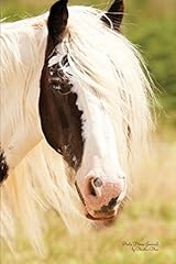 Pinto horse journal for sale  Delivered anywhere in UK