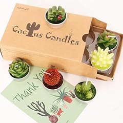 Aixiang styles cactus for sale  Delivered anywhere in UK