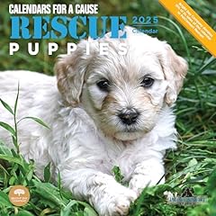 2025 rescue puppies for sale  Delivered anywhere in USA 