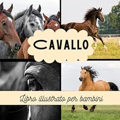 Libro illustrato per usato  Spedito ovunque in Italia 