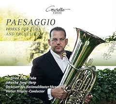 Paesaggio werke tuba gebraucht kaufen  Wird an jeden Ort in Deutschland