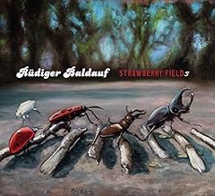 Strawberry fields gebraucht kaufen  Wird an jeden Ort in Deutschland