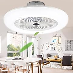 Lospitch ventilatore soffitto usato  Spedito ovunque in Italia 