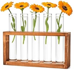 Cieex reagenzgläser blumenvas gebraucht kaufen  Wird an jeden Ort in Deutschland