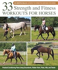 Strength fitness workouts for sale  Delivered anywhere in USA 
