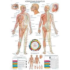 Lehrtafel körperakupunktur 70 gebraucht kaufen  Wird an jeden Ort in Deutschland
