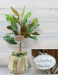 Southern magnolia sympathy for sale  Delivered anywhere in USA 