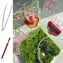 Heyshapeing jumping spider for sale  Delivered anywhere in UK