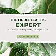 Fiddle leaf fig for sale  Delivered anywhere in USA 