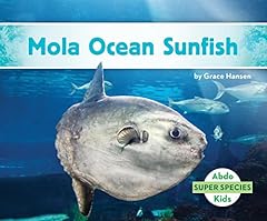 Mola ocean sunfish for sale  Delivered anywhere in UK