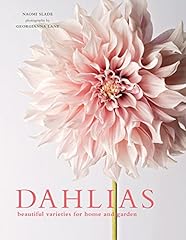 Dahlias beautiful varieties for sale  Delivered anywhere in USA 