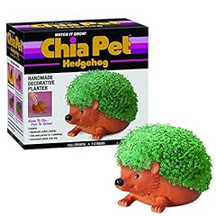 Chia pet hedgehog for sale  Delivered anywhere in USA 