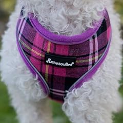 Pet solutions pet for sale  Delivered anywhere in UK