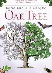 Oak tree natural for sale  Delivered anywhere in UK