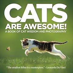 Cats are awesome usato  Spedito ovunque in Italia 